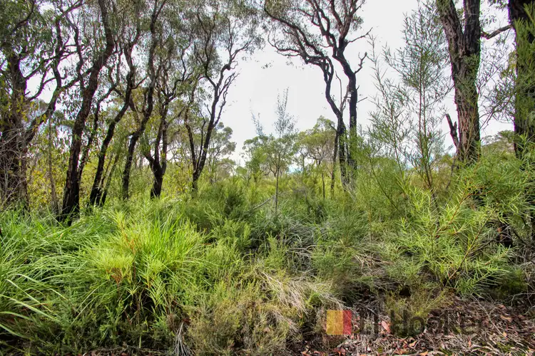 Fifth view of Homely land listing, Lot 29 Quenda Drive, Northcliffe WA 6262