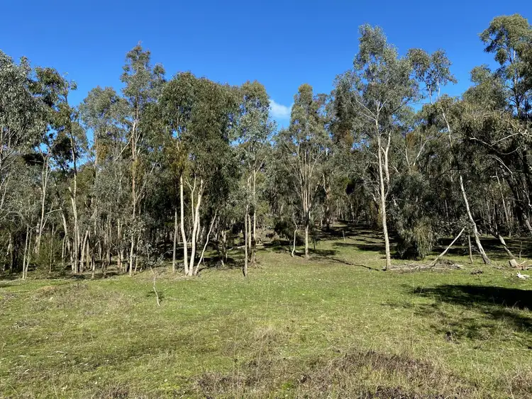 Seventh view of Homely rural property listing, 157 Christies Road, Thornton VIC 3712