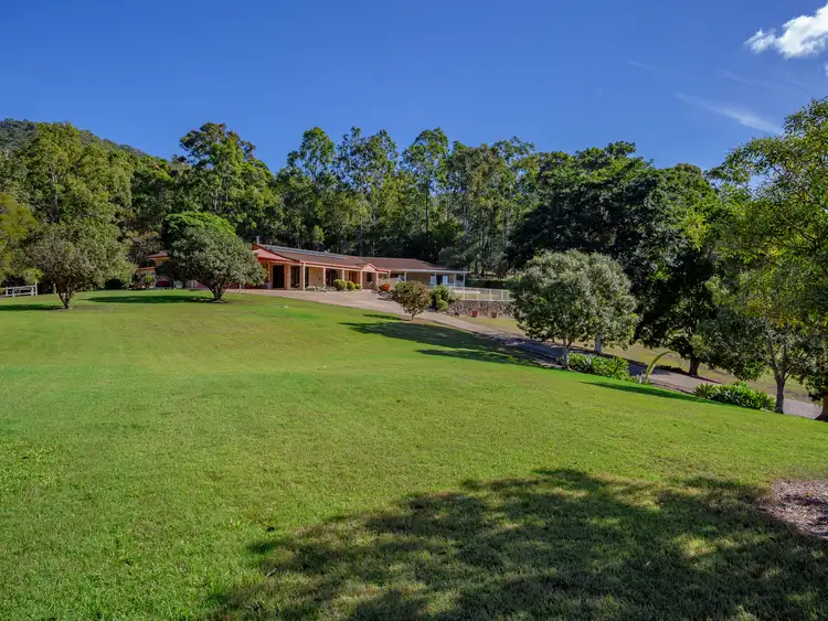 Main view of Homely house listing, 20 Valhalla Court, Tallai QLD 4213
