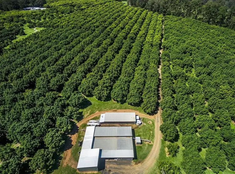 Second view of Homely rural property listing, 702 Green Pigeon Road, Green Pigeon NSW 2474