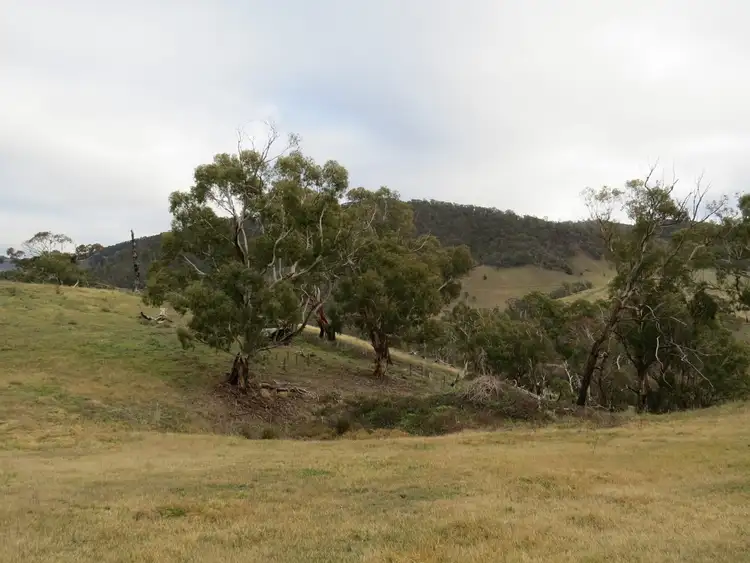 Seventh view of Homely land listing, 86 Day Avenue, Omeo VIC 3898