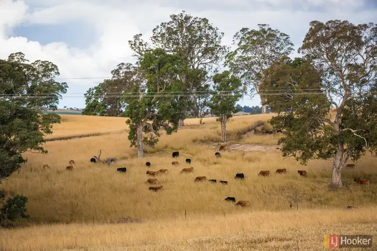 Second view of Homely rural property listing, 124A Mogilla Road, Candelo NSW 2550
