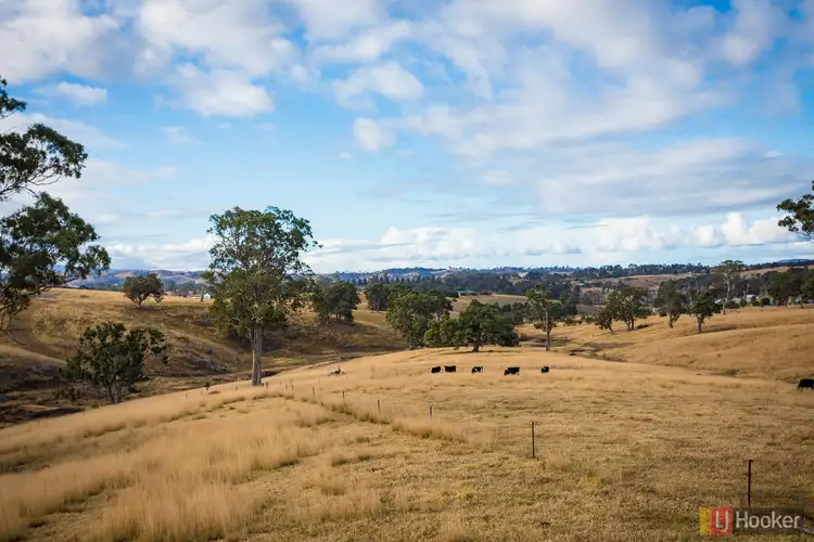 Third view of Homely rural property listing, 124A Mogilla Road, Candelo NSW 2550