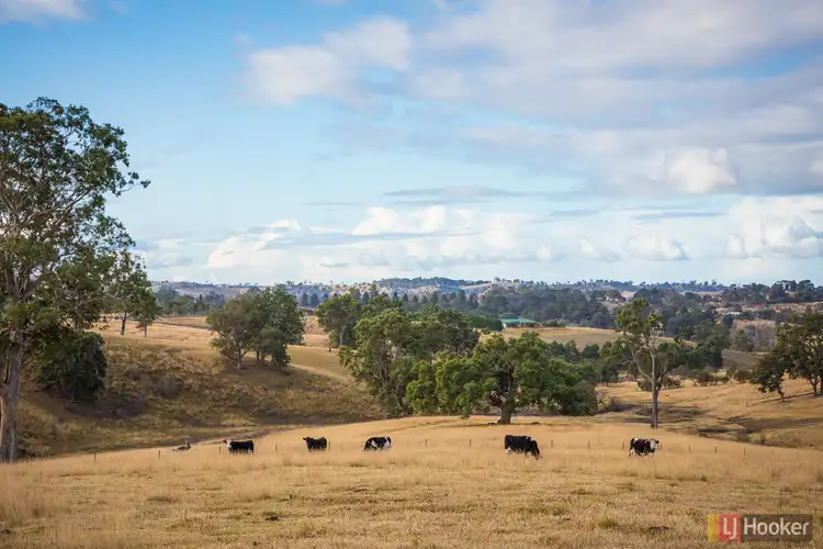 Fourth view of Homely rural property listing, 124A Mogilla Road, Candelo NSW 2550