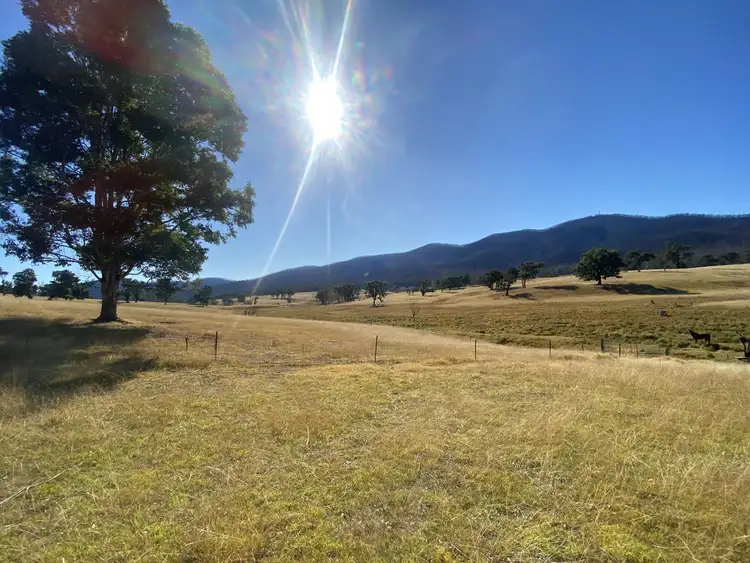 Fourth view of Homely rural property listing, 1176 Yowrie Road, Yowrie NSW 2550