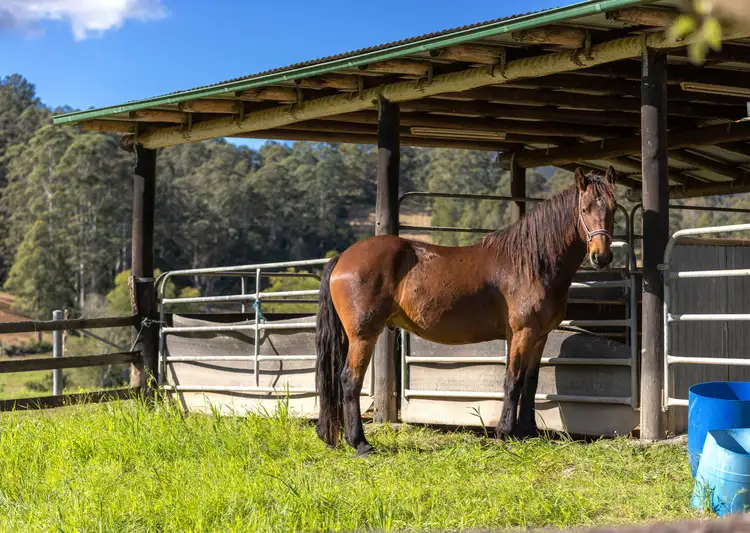 Fourth view of Homely rural property listing, 51 Killabakh Creek Road, Wingham NSW 2429