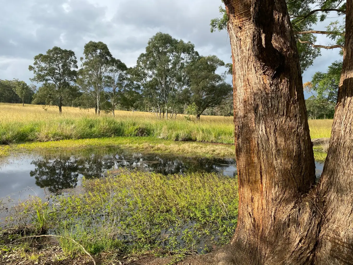 Main view of Homely rural property listing, 4 Clifton Road, Taree NSW 2430