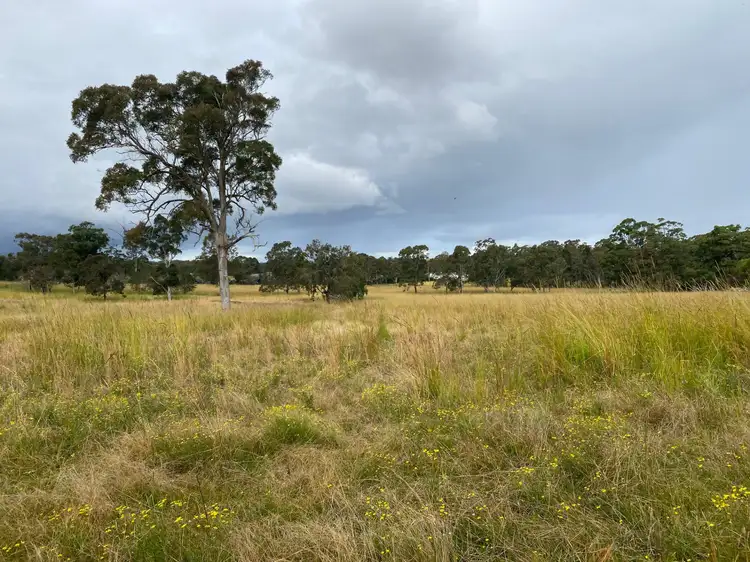 Second view of Homely rural property listing, 4 Clifton Road, Taree NSW 2430