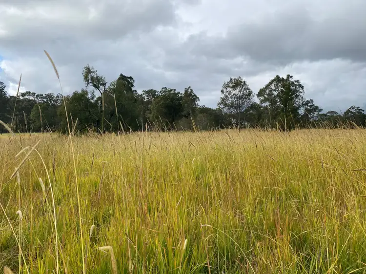 Seventh view of Homely rural property listing, 4 Clifton Road, Taree NSW 2430
