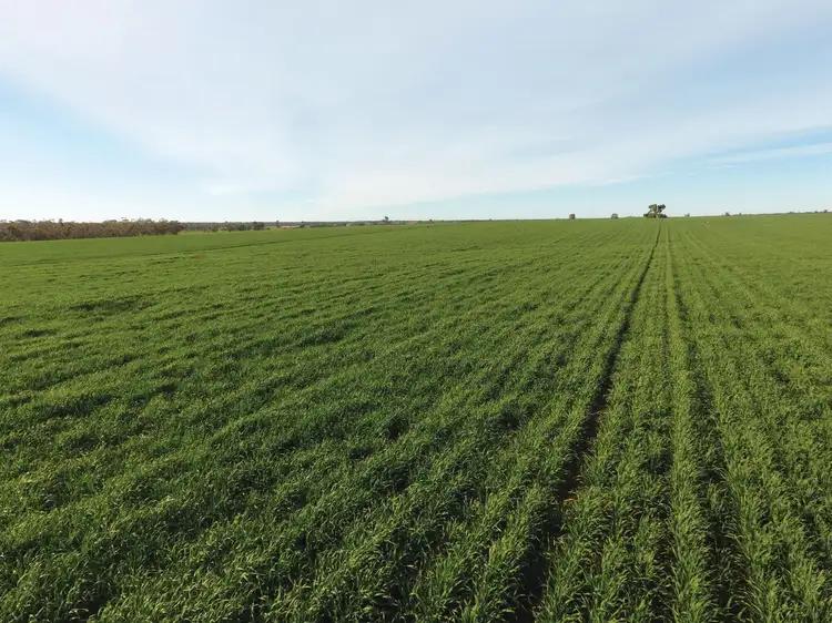 1361 "Boxdale" Carlisle Road, Condobolin NSW 2877