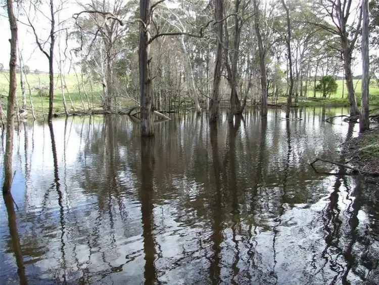 Third view of Homely rural property listing, 23 Sheepstation Forest Road, Gingkin NSW 2787