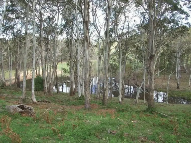 Fifth view of Homely rural property listing, 23 Sheepstation Forest Road, Gingkin NSW 2787