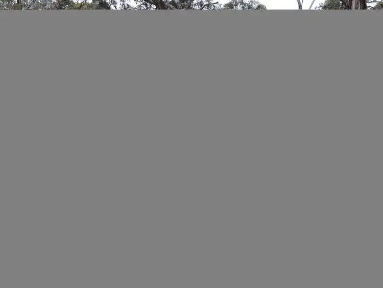Sixth view of Homely rural property listing, 23 Sheepstation Forest Road, Gingkin NSW 2787
