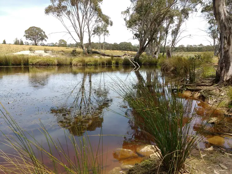 Seventh view of Homely rural property listing, 23 Sheepstation Forest Road, Gingkin NSW 2787