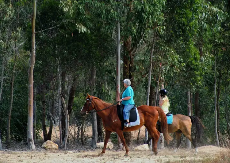 Third view of Homely land listing, Lot 172 Elderberry Link, Two Rocks WA 6037