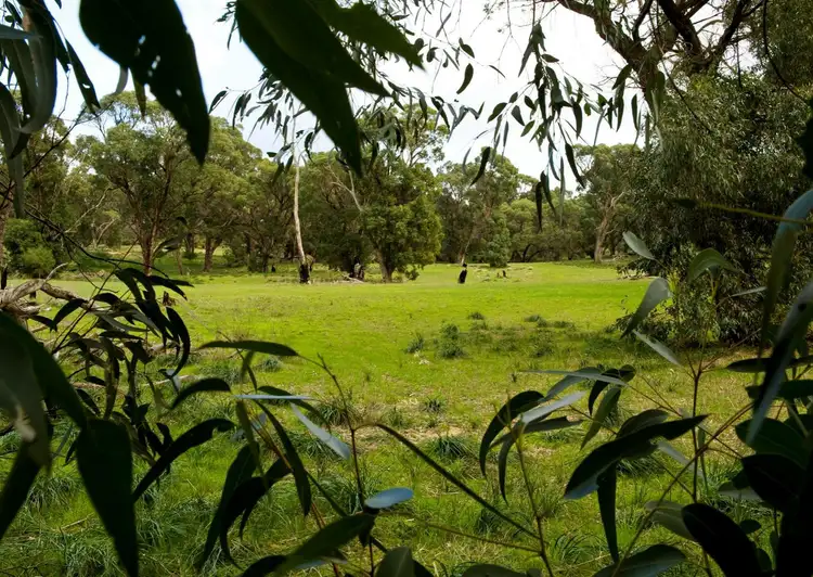 Second view of Homely land listing, Lot 15 Elderberry Link, Two Rocks WA 6037