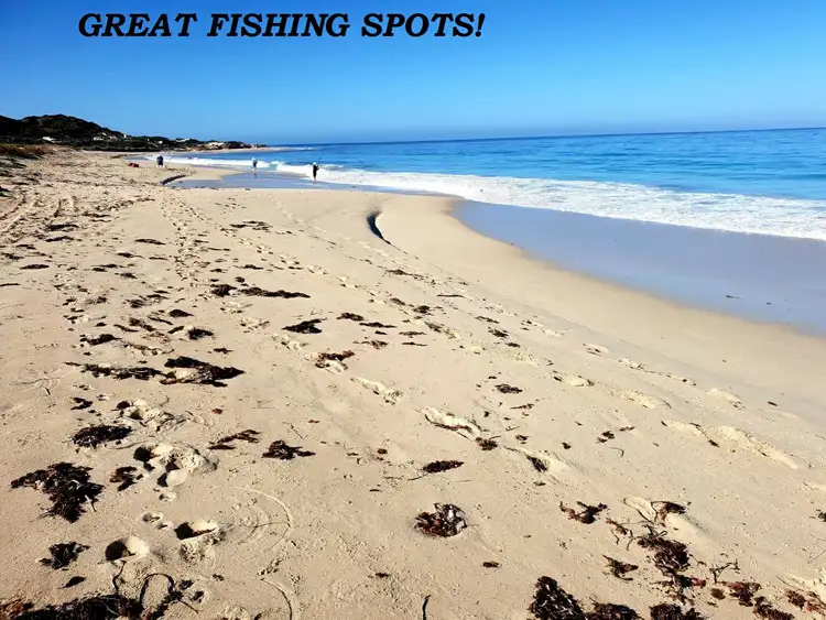 Fifth view of Homely land listing, Lot 170 Elderberry Link, Two Rocks WA 6037