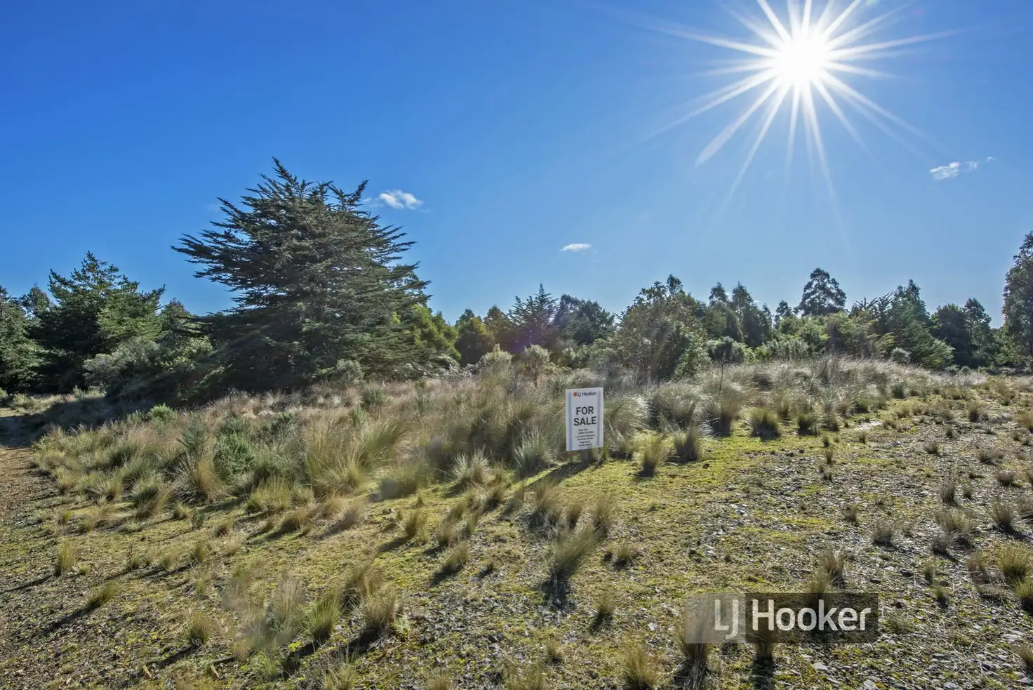 Main view of Homely rural property listing, 0 Preolenna Road, Preolenna TAS 7325