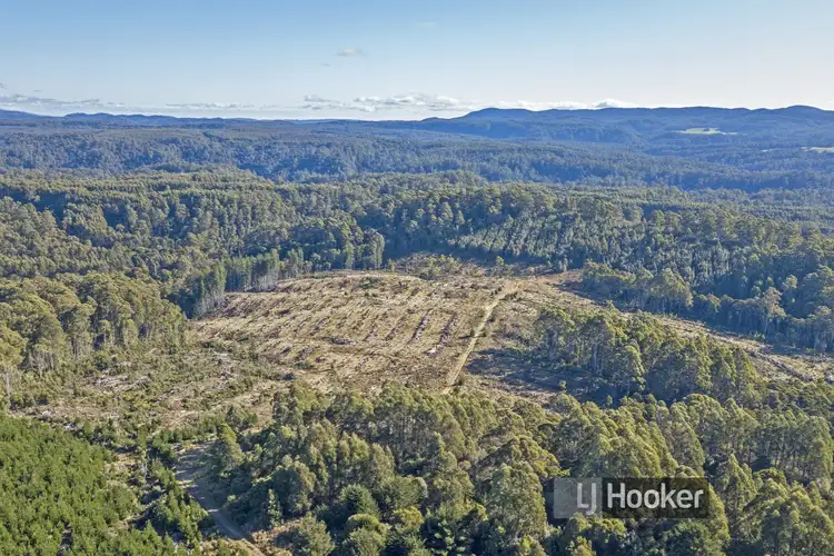 Second view of Homely rural property listing, 0 Preolenna Road, Preolenna TAS 7325