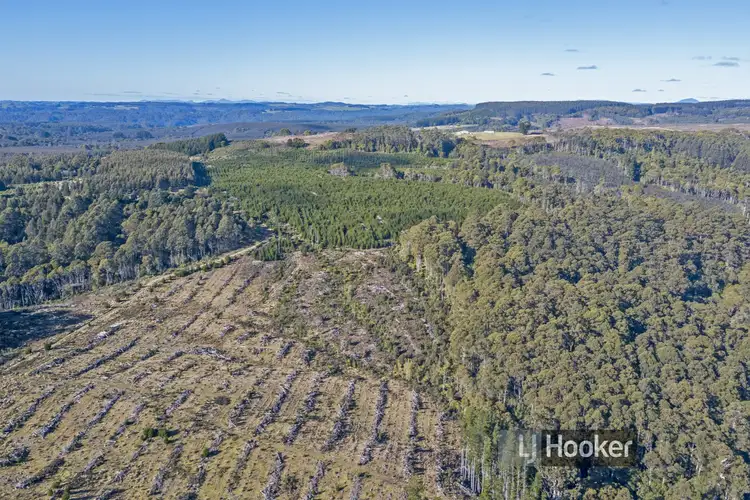 Fourth view of Homely rural property listing, 0 Preolenna Road, Preolenna TAS 7325