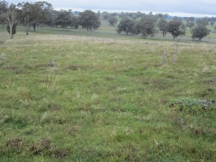 Main view of Homely rural property listing, 625 Tubbul Road, Young NSW 2594