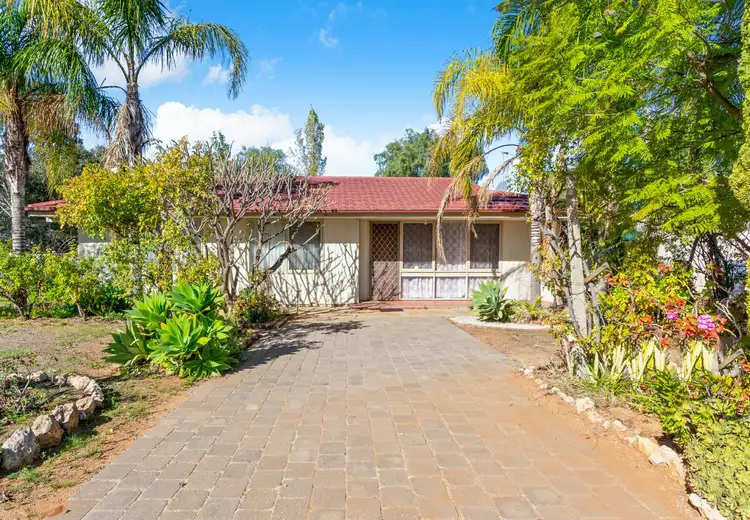Main view of Homely house listing, 1 Manifold Crescent, Berri SA 5343