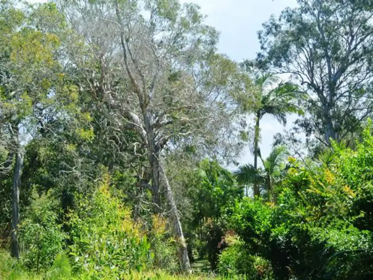 Fifth view of Homely land listing, Lot 92, 3 Piccaninny Street, Macleay Island QLD 4184