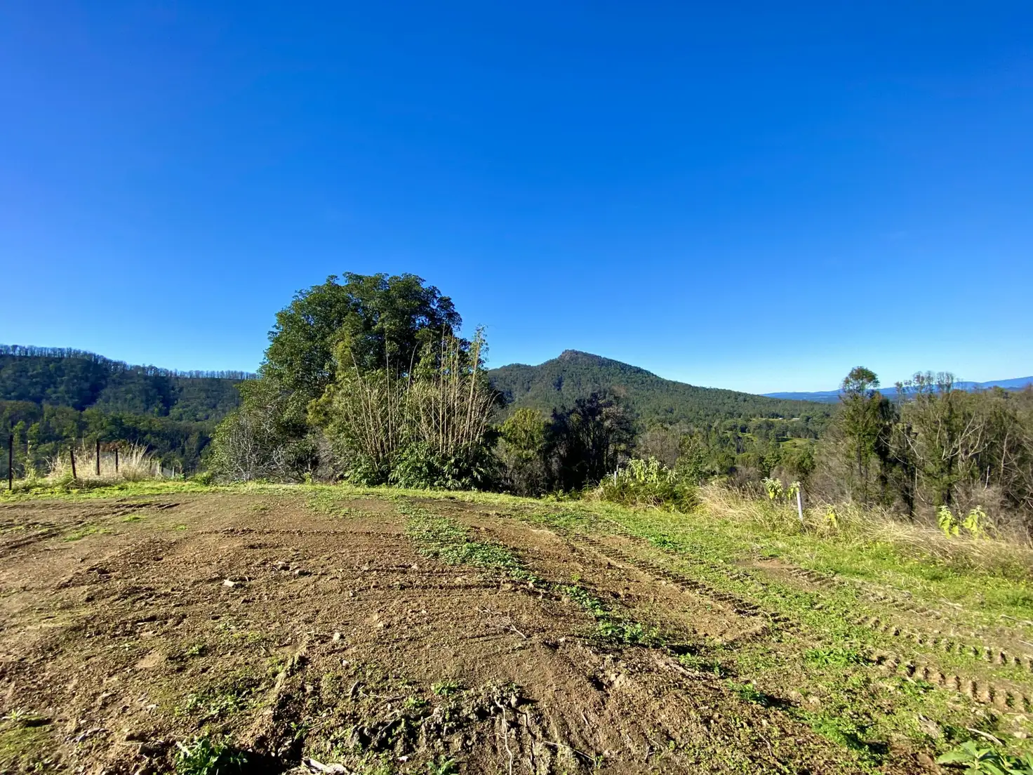 Main view of Homely rural property listing, 2148 Comboyne Road, Killabakh NSW 2429