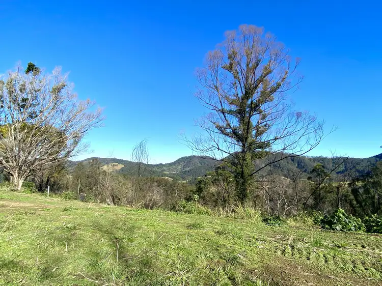 Sixth view of Homely rural property listing, 2148 Comboyne Road, Killabakh NSW 2429