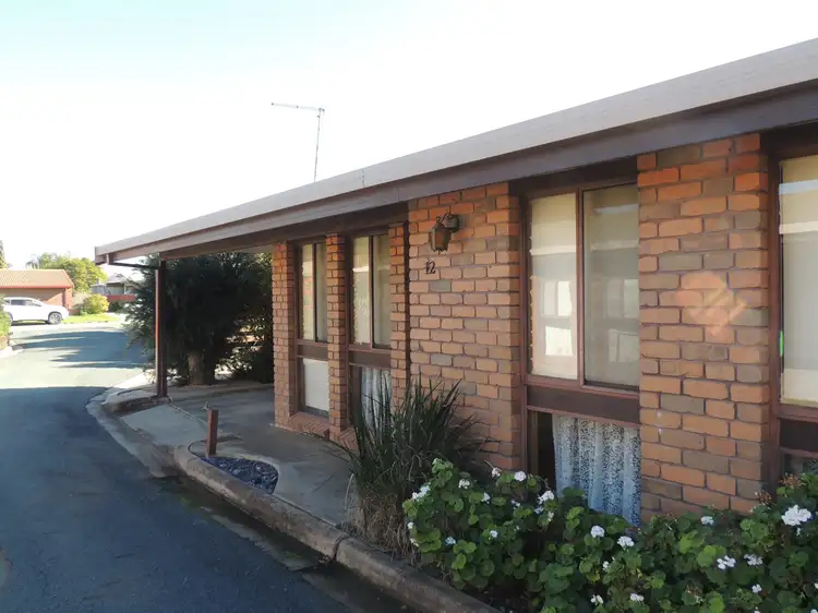 Main view of Homely unit listing, Unit 12/13 Naretha Street, Swan Hill VIC 3585