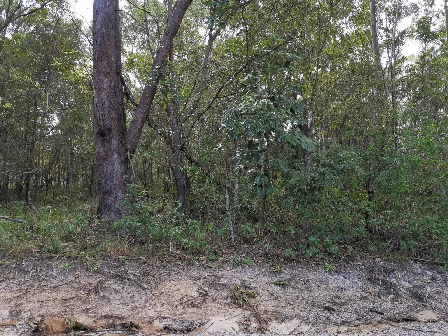 Main view of Homely land listing, 7 Hunters, Russell Island QLD 4184
