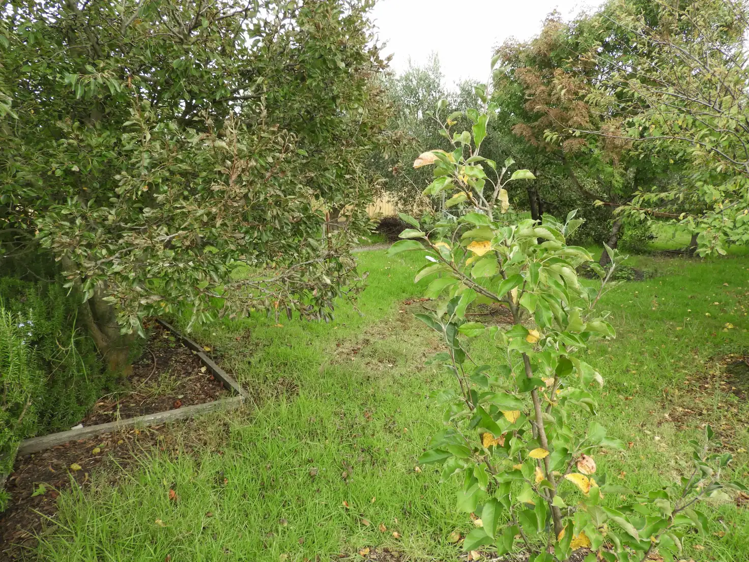Main view of Homely land listing, 77 Cashin Street, Inverloch VIC 3996