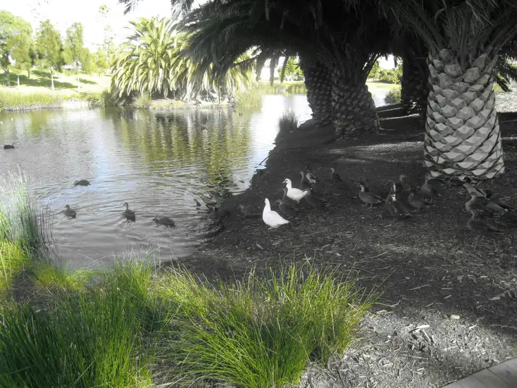 Sixth view of Homely land listing, 11a Fisher Place, West Lakes SA 5021