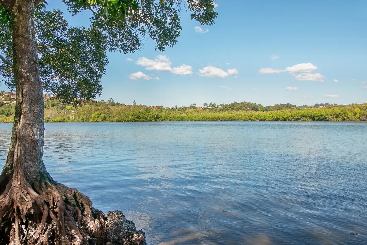 Main view of Homely house listing, 1/151 Sunset Boulevard, Tweed Heads West NSW 2485