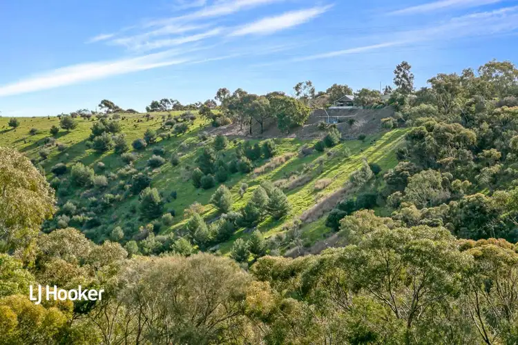 Second view of Homely house listing, 190 Williams Road, Gould Creek SA 5114