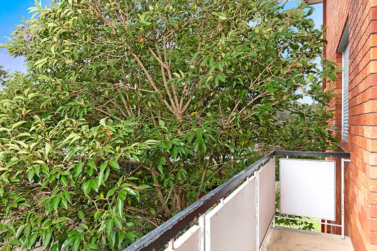 Fourth view of Homely unit listing, 5/8 Ilikai Place, Dee Why NSW 2099