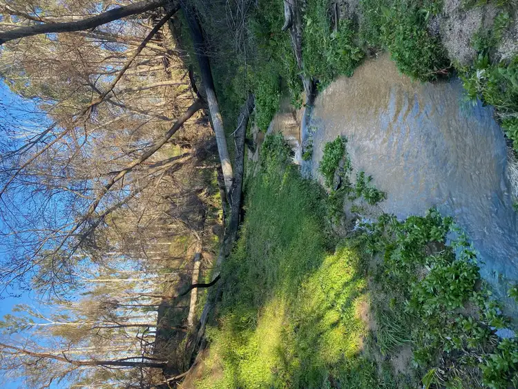 Seventh view of Homely land listing, 160 Watts Road, Yowrie NSW 2550