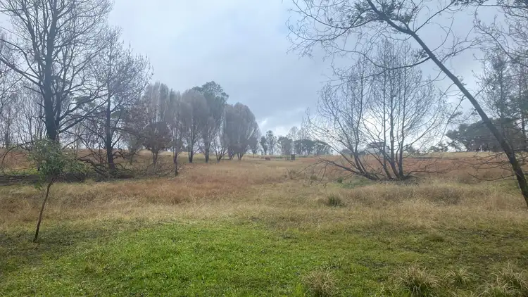 Second view of Homely rural property listing, 668 Pollacks Flat Road, Bemboka NSW 2550