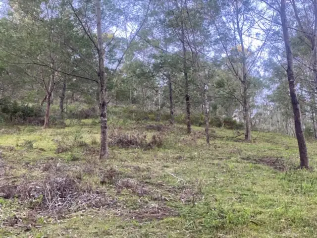 Third view of Homely rural property listing, 668 Pollacks Flat Road, Bemboka NSW 2550