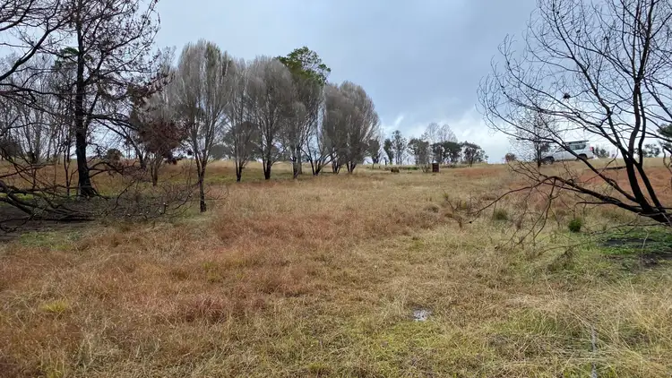 Fifth view of Homely rural property listing, 668 Pollacks Flat Road, Bemboka NSW 2550