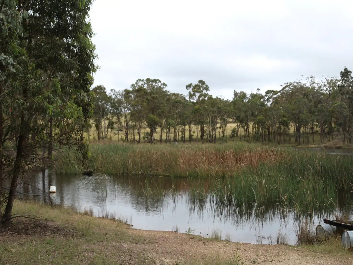 Main view of Homely land listing, LOT 33 Wellington Vale Road, Emmaville NSW 2371