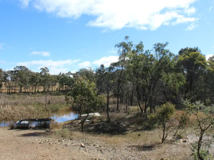 Sixth view of Homely land listing, LOT 33 Wellington Vale Road, Emmaville NSW 2371