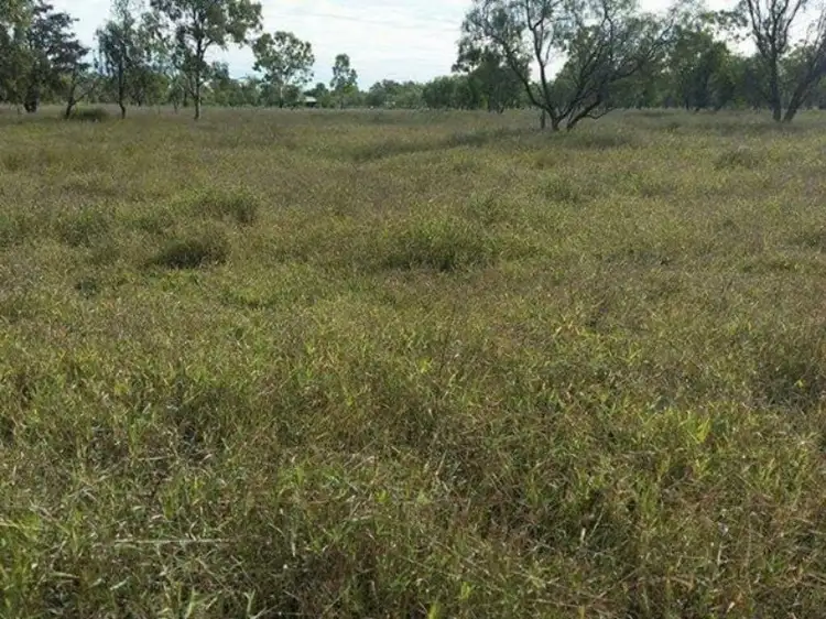 Main view of Homely land listing, 78 Old Showgrounds Road, Clermont QLD 4721