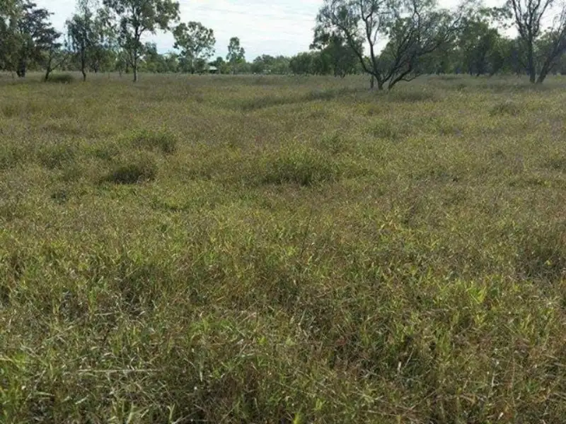 Main view of Homely land listing, 78 Old Showgrounds Road, Clermont QLD 4721