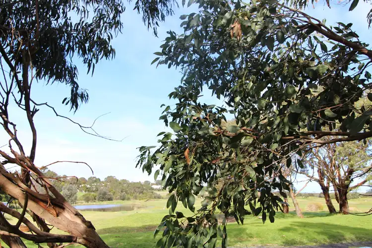 Fourth view of Homely land listing, 629 Settlement Road, Cowes VIC 3922