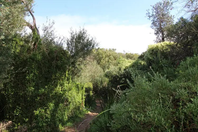 Seventh view of Homely land listing, 629 Settlement Road, Cowes VIC 3922