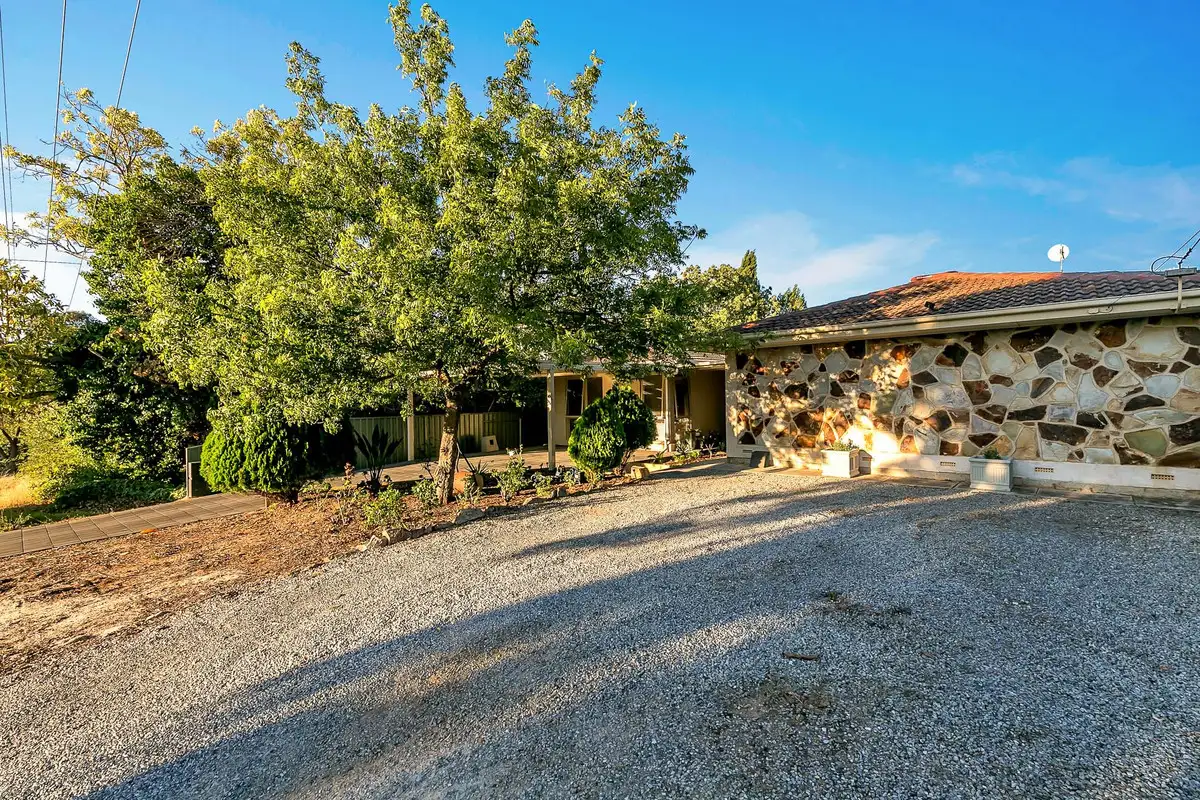 Main view of Homely house listing, 19 Coventry Drive, Athelstone SA 5076