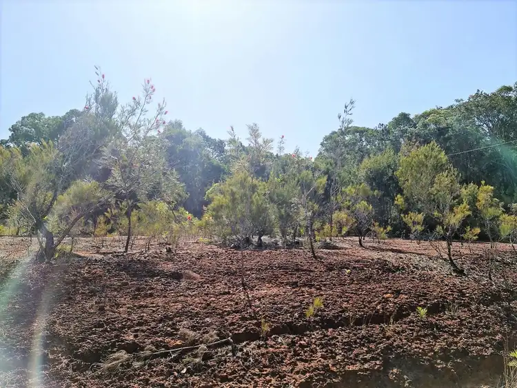 Main view of Homely land listing, 78 Shore Street, Russell Island QLD 4184