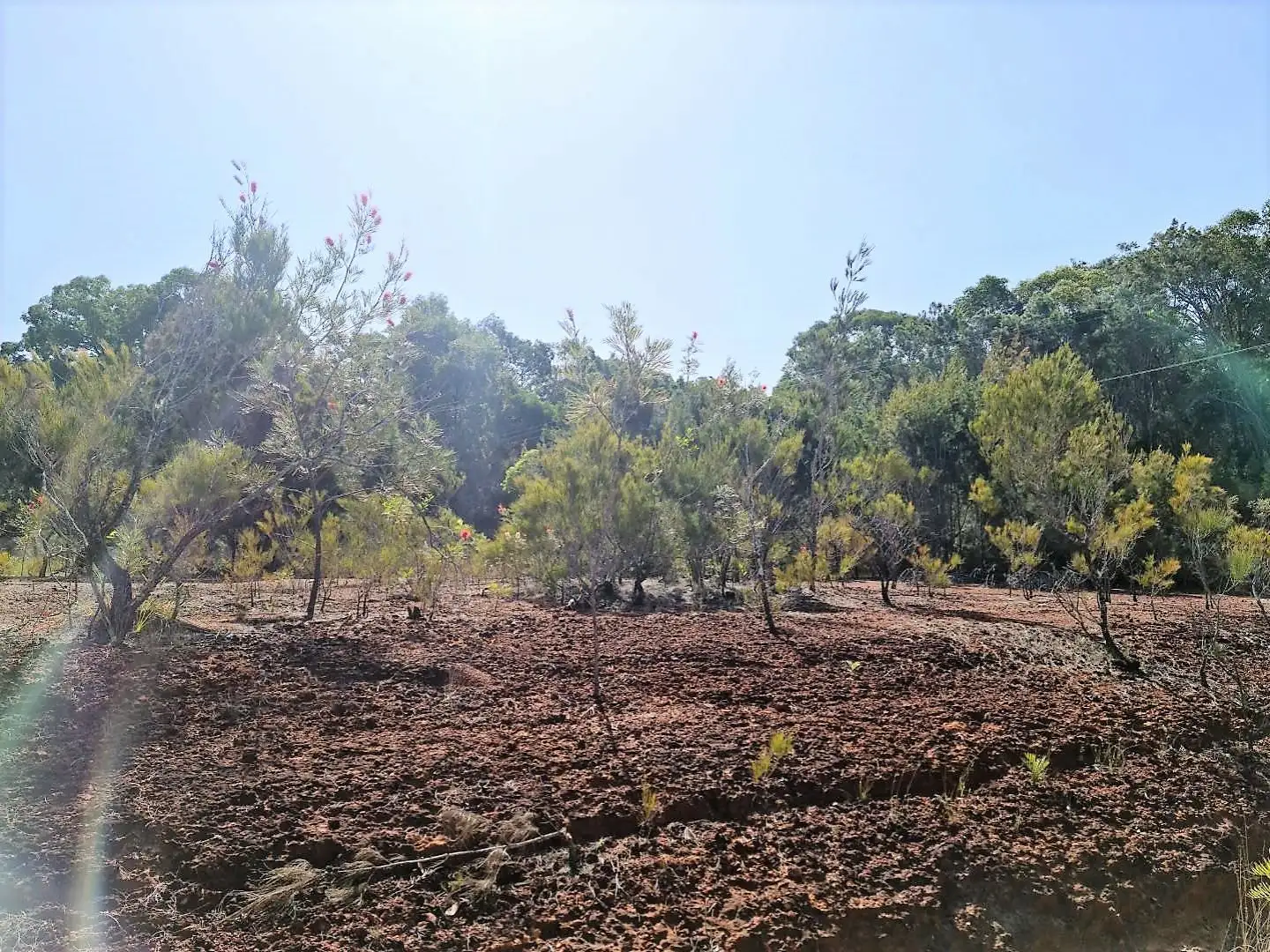 Main view of Homely land listing, 78 Shore Street, Russell Island QLD 4184