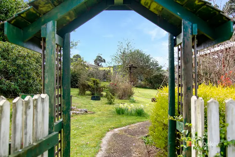 Fifth view of Homely house listing, 100 Devils Elbow Road, Sisters Creek TAS 7325